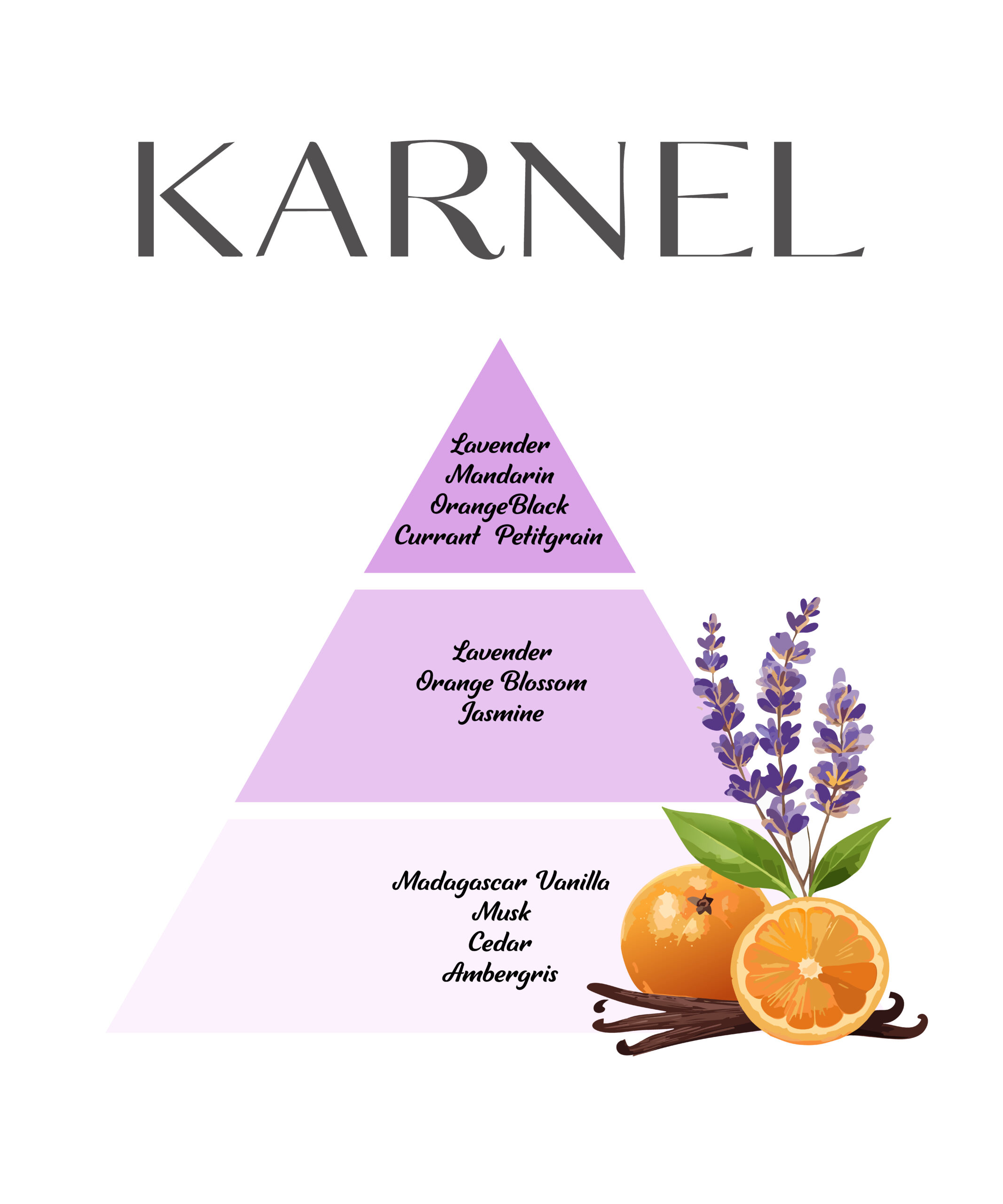 KARNEL K2 50 ML KADIN PARFÜMÜ - Görsel 4