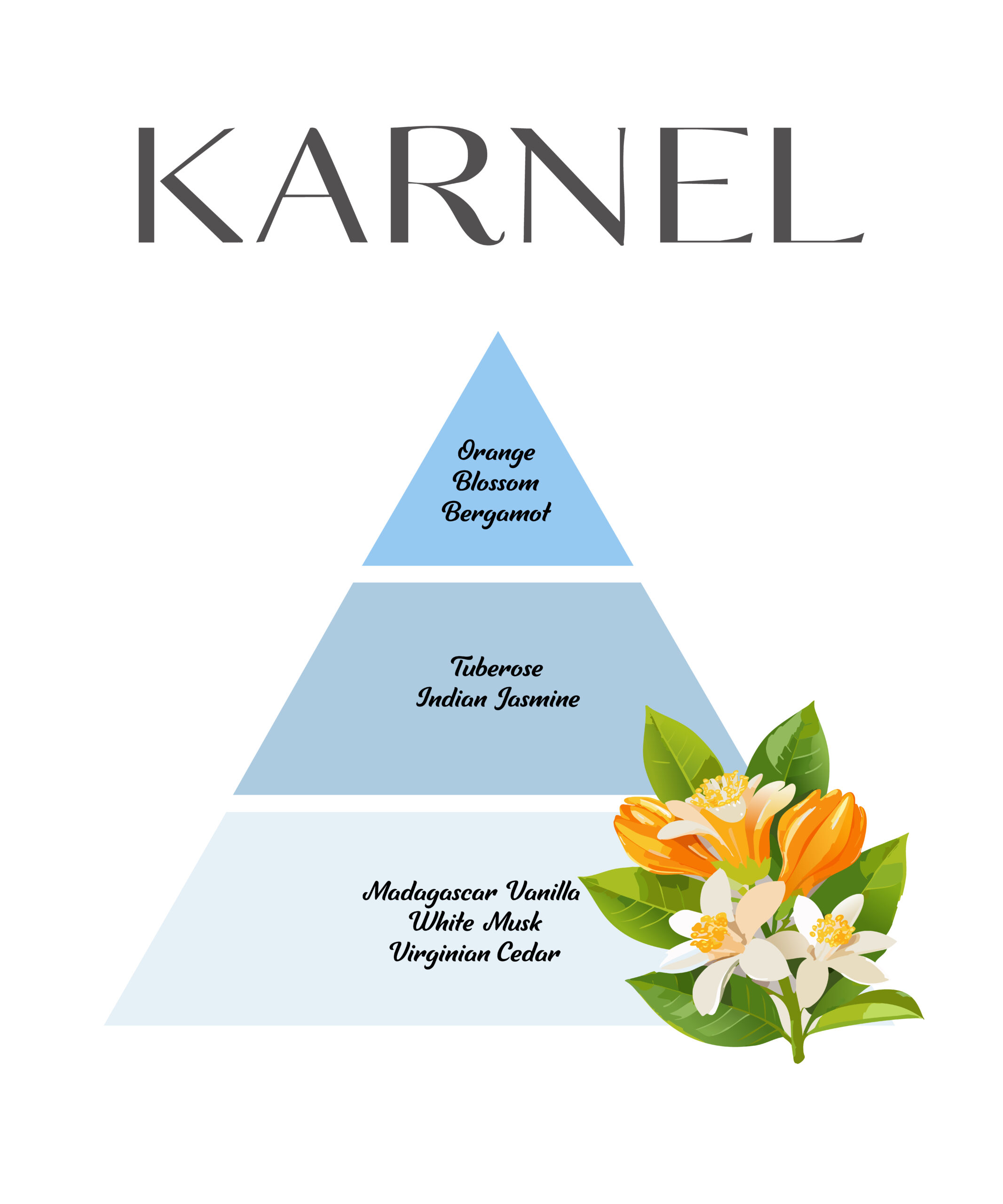 KARNEL K6 50 ML KADIN PARFÜMÜ - Görsel 2